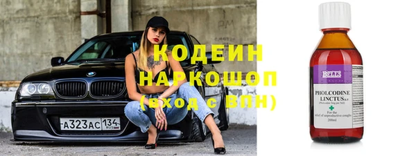 прущие крисы Корсаков