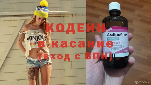прущие крисы Корсаков