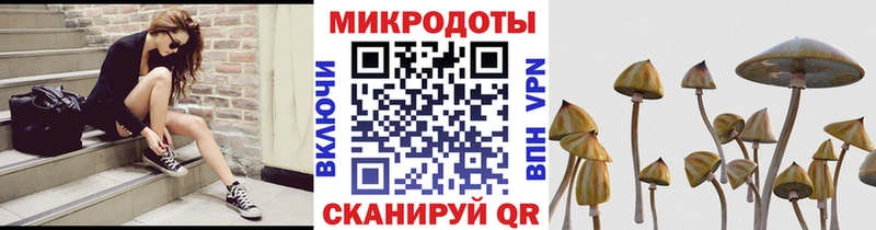 Псилоцибиновые грибы Cubensis  Первоуральск 